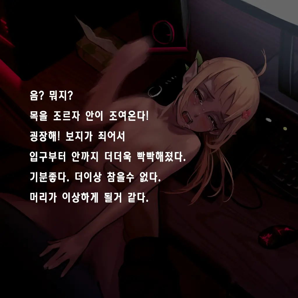 Tsuuhan Elf | 통판 엘프